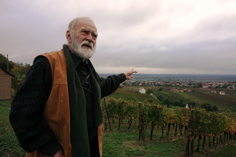 Polgár Borkóstoló